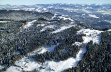 Winteraktion: Schwarzwald-Rundflüge